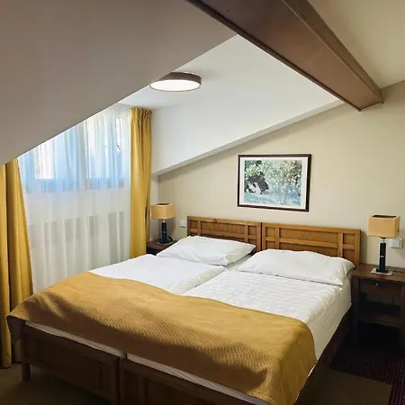 Hotel Wellness Gendorf 3*